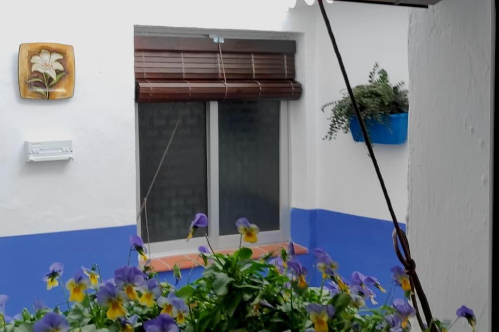 Apartamento Sara Homes Juderia Wifi Y Patio Cordobes Privado Córdoba